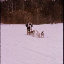 ph 14809e Heritage Day, Elora 1975: dog sled races.