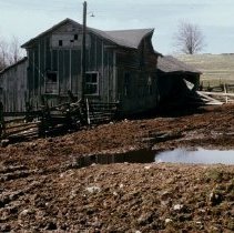 491 house & farm 1974