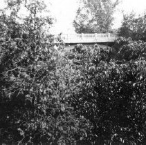 Irvine Bridge, Elora, ca. 1930