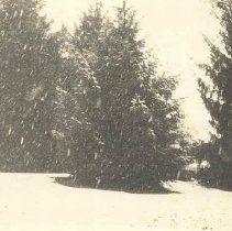 ph 16006: Cedarbrook, Nov. 1914.