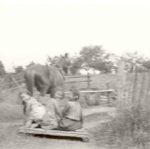 ph 16035: Three unidentified children with horse.