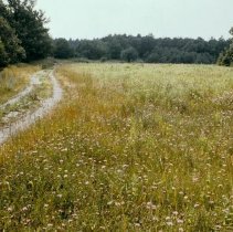 623 Laneway & fields