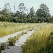 631 laneway through field