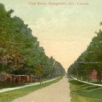 Tina Street, Orangeville, 1910