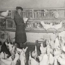 Interior of Tweddle Chick Hatcheries Ltd. truck, Fergus, Ontario,