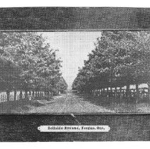 Belsyde Avenue, Fergus, ca.1910