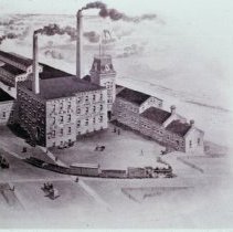 8178 Taylor Forbes ca.1880