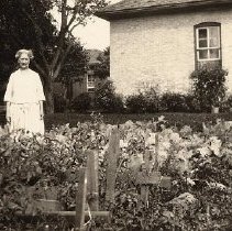 PH 23709 Aunt Lottie McMahon.