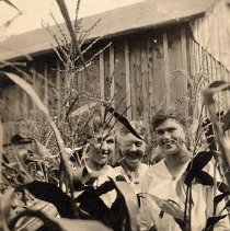 PH 23727 Zelma, Alice and Emily