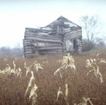 ph 17080b Ruins of log house / barn in Eramosa Twp,. Nov. 1986.