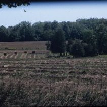 ph 17083 Round hay bales in field in Eramosa Twp., 21 Aug. 1988.