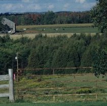 ph 17089 Traves Hull, Eramosa Twp., Sept. 1994.