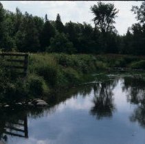ph 17090a Creek / stream near Shiloh, north Eramosa Twp., 3 Sept. 1995.