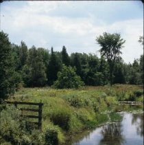 ph 17090b Creek / stream near Shiloh, north Eramosa Twp., 3 Sept. 1995.