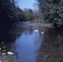 ph 17091a Speed River, Eramosa Twp., May 1987.