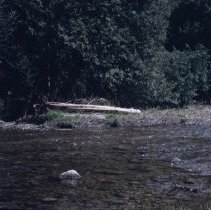 ph 17091b Speed River, Eramosa Twp., May 1987.