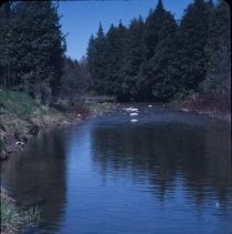 ph 17091c Speed River, Eramosa Twp., May 1987.