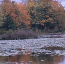 ph 17095 Stanley Park in fall, Erin Twp., Oct. 1990.