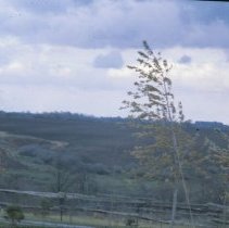 ph 17102 Rolling countryside scene near Glen Allen area, Peel Twp., Oct. 19