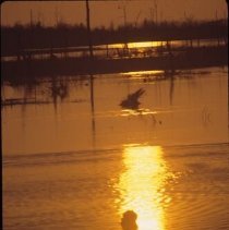 ph 17106a Sunset on Damascus Lake, Luther Marsh, West Luther Twp., 6 May 19