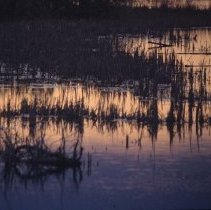 ph 17106c Sunset on Damascus Lake, Luther Marsh, West Luther Twp., 6 May 19