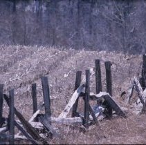 ph 17108b Wooden rail fence in Wellington County, May 1990.
