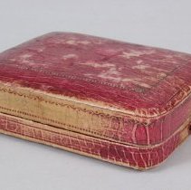 Full view, case (.02&.03)