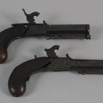 Proper right side view