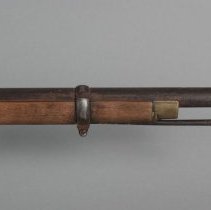 Detail Sight and Ramrod