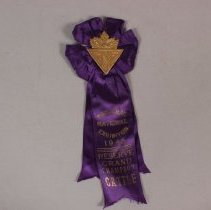 Front View of Ribbon (.01)