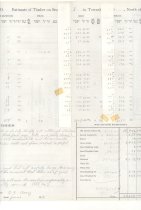 Weyerhaeuser Timber Co Timber Estimate and Land Examination of Section 1 To