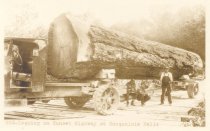 603. Logging on Sunset Highway at Snoqualmie Falls.