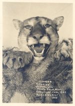 Siegrist 282. Cougar killed by P.C. Petersen .  North Bend, Wash. Copyright Jan 1909