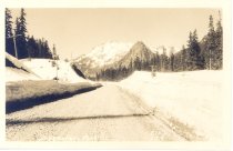 Ellis 129.  Snoqualmie Pass.