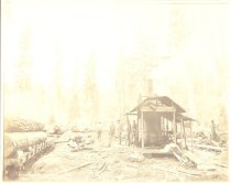 Washington Scenery.  Warren and Irwin's Logging Camp platform.