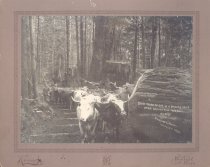 Skid Road scene in a logging camp near Arlington, Wash. No 1031 DR Kinsey, photo, Woolley, Wash.