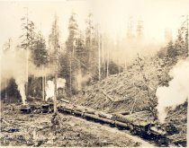C Kinsey Photo 23. Schafer Bros Log Co Camp 6 Worlds record for one side in 8 hours. 67 cars containing 707661 ft.