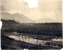 D Kinsey 8663. Snoqualmie Falls Lumber Co.