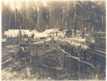 Darius Kinsey 3120. CVLCO.  Carlson and Johnson Gradeing Camp.