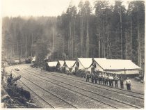 Darius Kinsey 2445.  Carlson and Nelson.