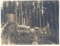 Darius Kinsey 3121.  CVLCO Carlson and Johnson Gradeing Camp.