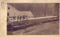 This log was shipped to the World's Fair.  Length 113 feet and 14 feet square.  From Jose and Sons logging camp, North Bend, Wash.