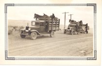 Our Forest Service Mules near Ellensburg '35.