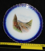 Plate, Commemorative