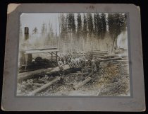 Po.075.0371. Lumber Workers, C 1909 (1)