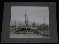 Po.164.0002. Wagon Train For Building Milwaukee Railroad, 1908 (1)