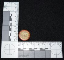 1056.012. Sflco Union Button, June 1939 (2)