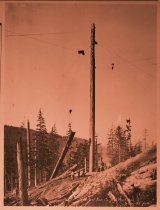 Kinsey #50. High Point Lumber Co, High Point, Wash.