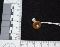 977.070. Rodney Boalch's Brass Shirt Stud (2)