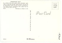 015.207. The Snoqualmie Falls. Clifford Ellis.2